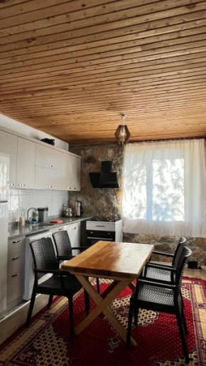 Olympos stone house